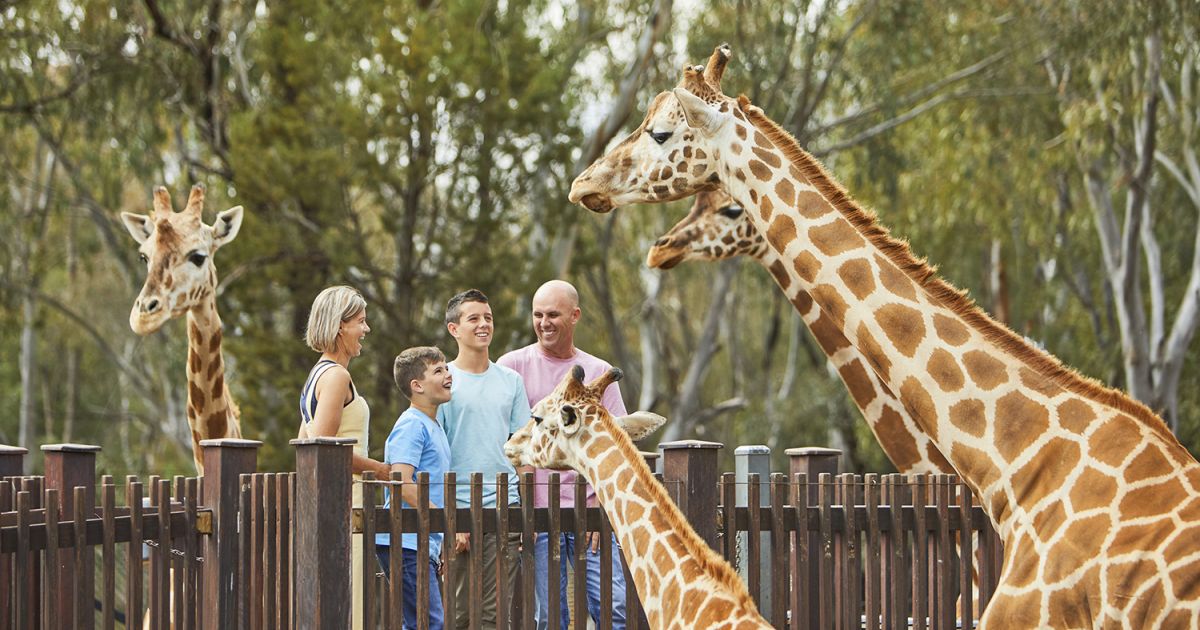 GIẢI CHI TIẾT ĐỀ THI IELTS READING Why zoos are good